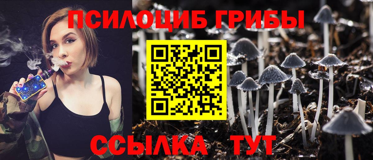 Галлюциногенные грибы MAGIC MUSHROOMS Канаш