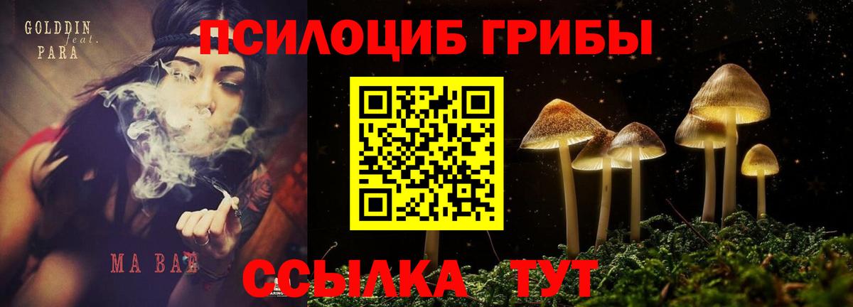 Галлюциногенные грибы Psilocybine cubensis  Псилоцибиновые грибы прущие грибы  Вход с VPN  Канаш 